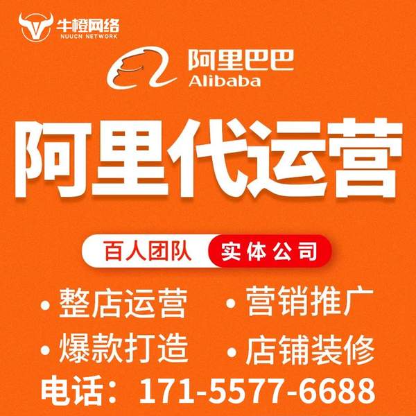 伊宁电商代运营