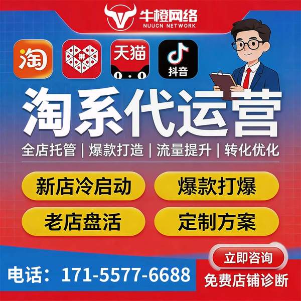 伊宁电商代运营