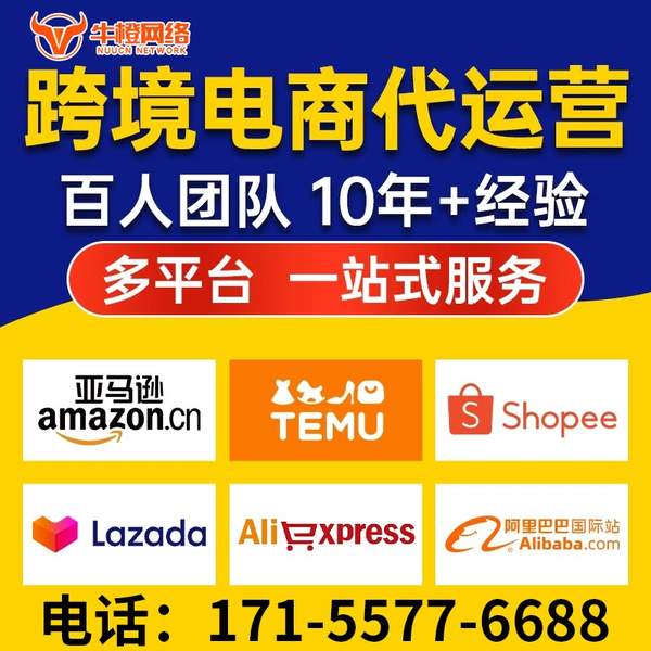伊宁电商代运营