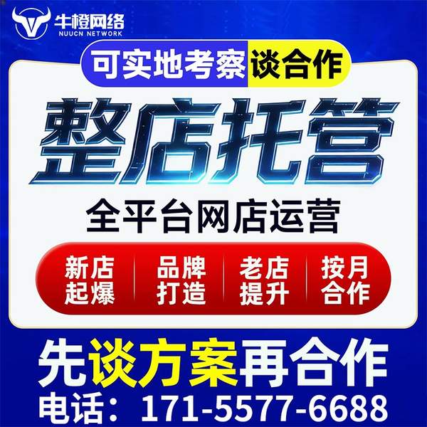 伊宁电商代运营