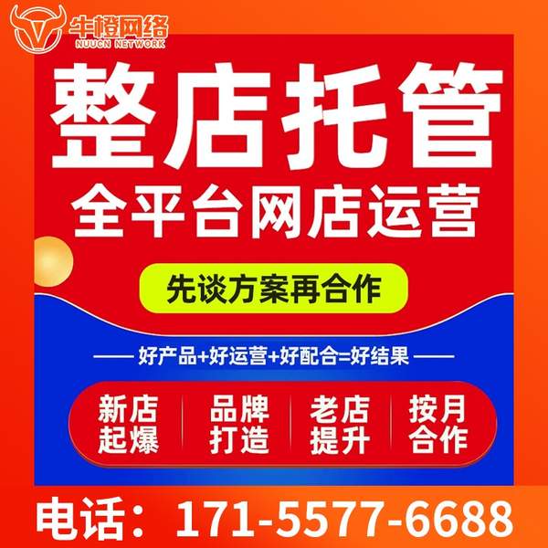 伊宁电商代运营