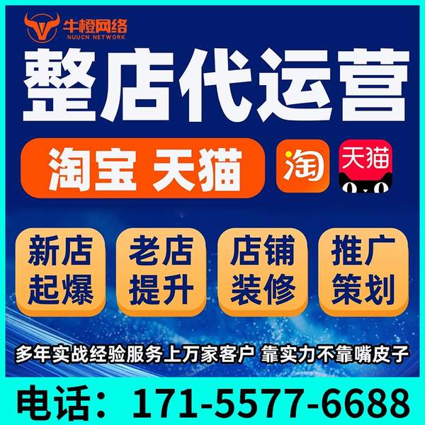 伊宁电商代运营