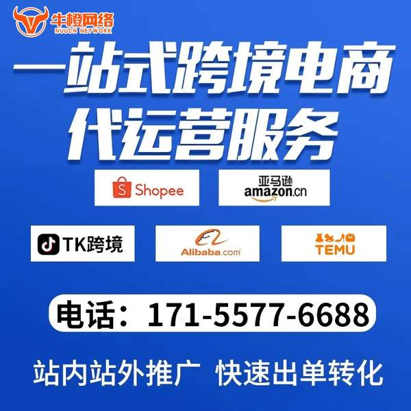 伊宁电商代运营