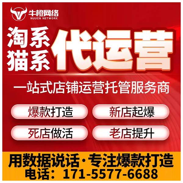 伊宁电商代运营